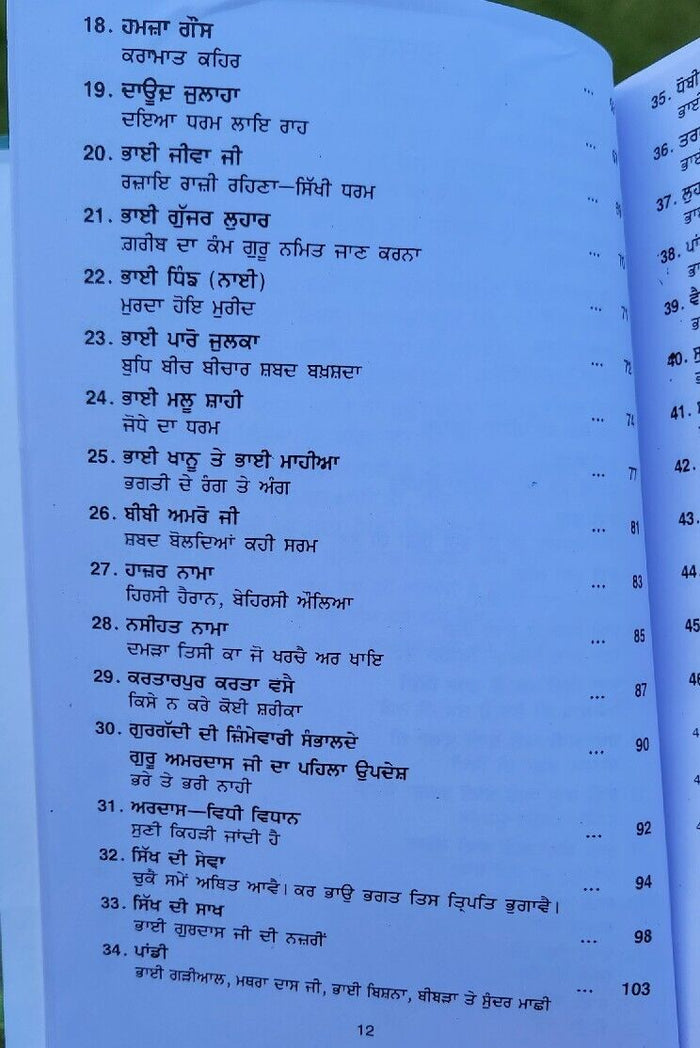Aadh Sikh Te Aadh Sakhia Principal Satbir Singh Punjabi Book Panjabi Story B17