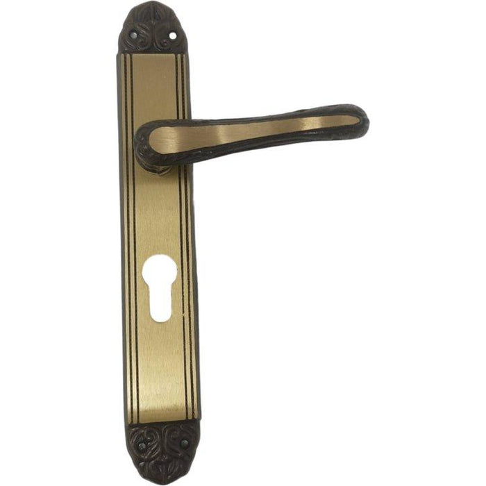Antique Door Handle on Plate with Cylinder Lock and Cylinder door handles on plate