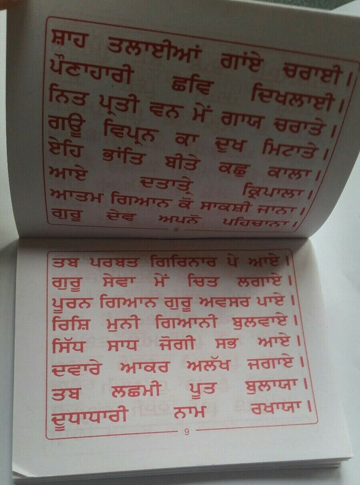 Baba balaknath chalisa evil eye protection shield good luck pocket book punjabi