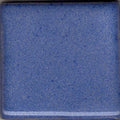 COY191 Blue Cornflower,PT