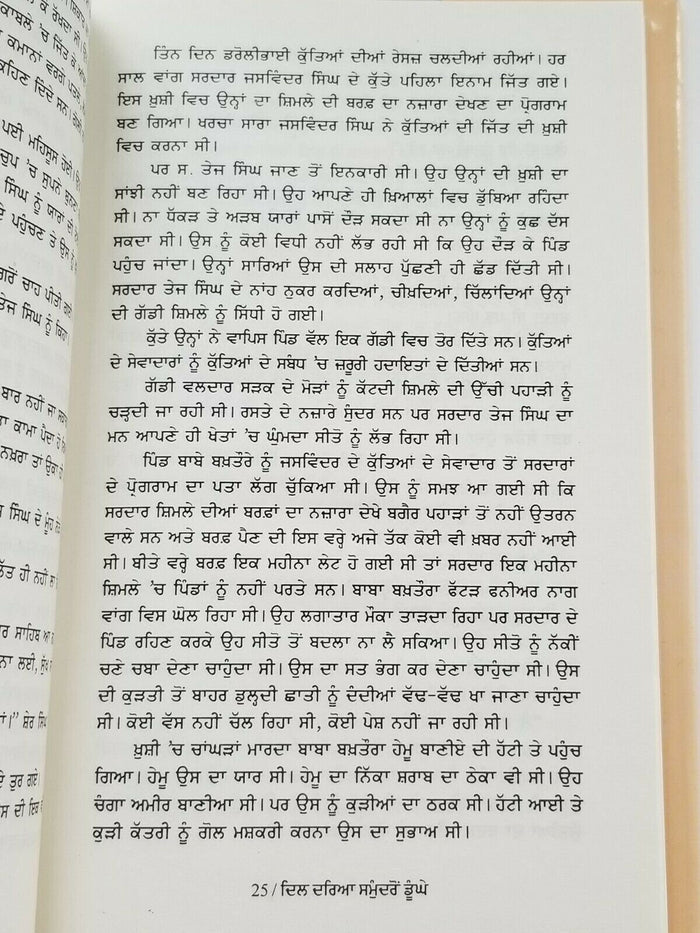Dil darya samundro doongay novel punjabi buta singh shaad panjabi book b17 new