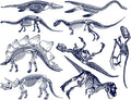 Dinosaur Skeleton Decal