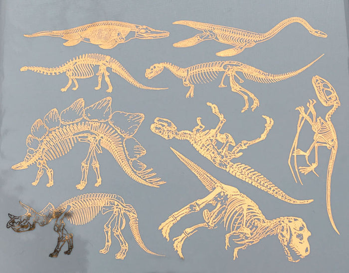 Dinosaur Skeleton Decal