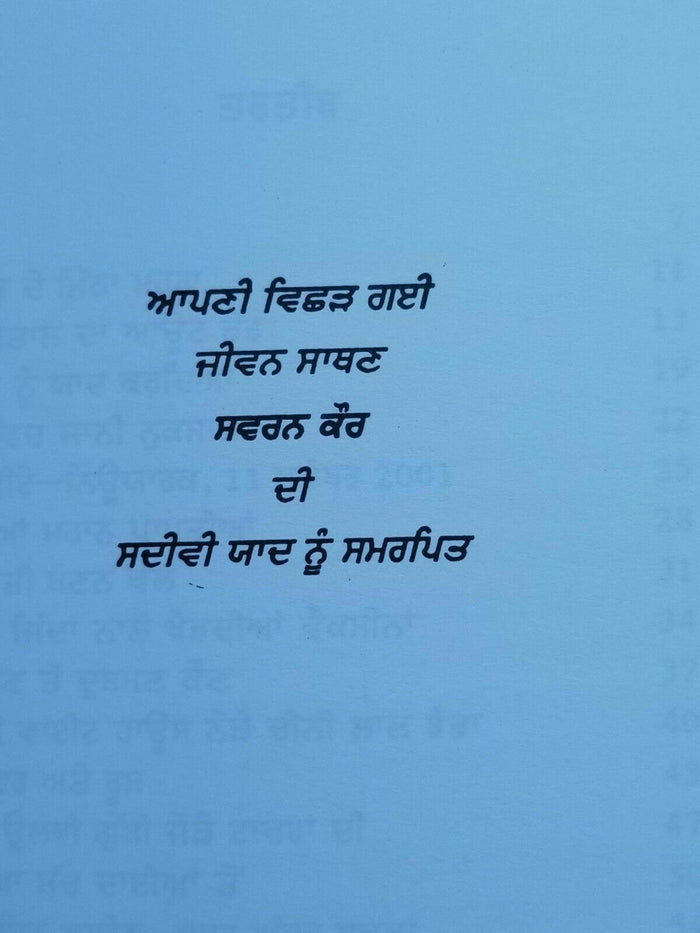 Dooja passa by Dr. Daljit Singh punjabi literature reading essay book b44 - new