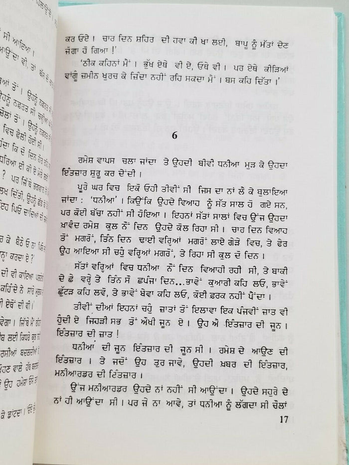 Gauri Punjabi Gurmukhi Novel Ajeet Cour Ajit Kaur Fiction Book Panjabi New Gift B6