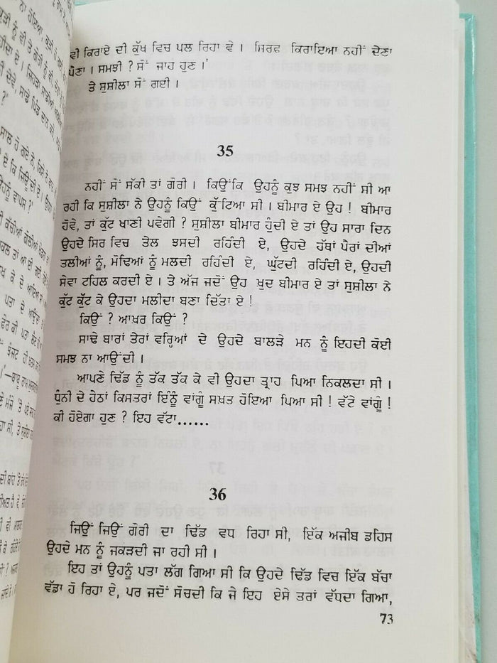 Gauri Punjabi Gurmukhi Novel Ajeet Cour Ajit Kaur Fiction Book Panjabi New Gift B6