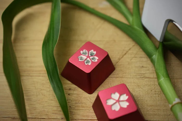 HIBI/RAMA/Keylabs Keycaps