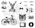 Hipster