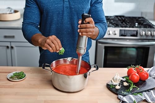 Immersion Blender, Stainless Steel, 18 inches