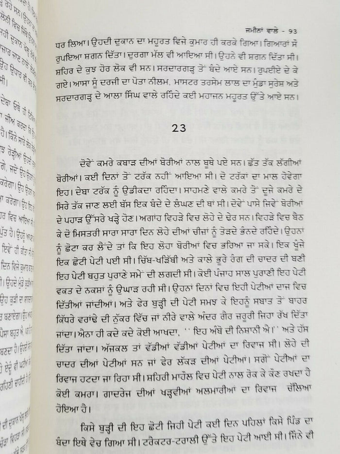 Jameena Wale Novel Ram Saroop Ankhi Punjabi Gurmukhi Literature Panjabi Book B6