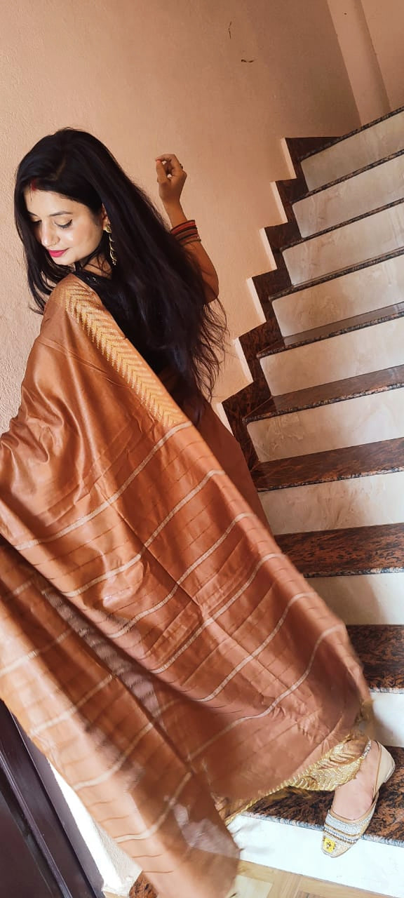 Chanderi Silk Brown Saree – Silkmark Certified with Blouse