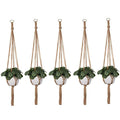 Jute Plant Hanger (Set of 5)
Size : 40" Long-Indiehaat