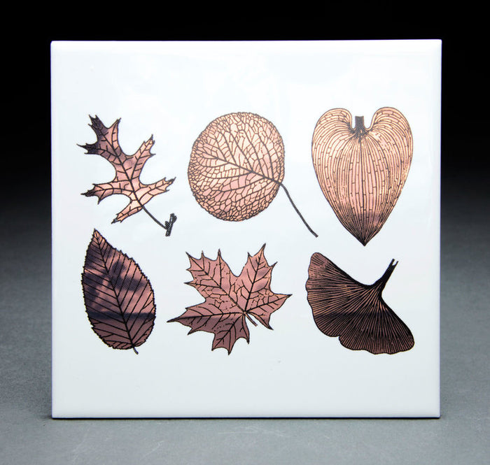 Large Leaves-Mica White