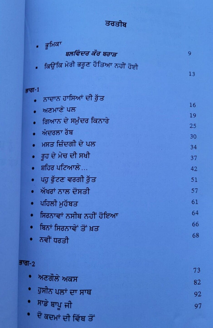 Man Da Kona Book Balwinder Kaur Brar Punjabi Literature Panjabi UK New Gift MQ