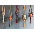 Multicolour Macrame Plant Holder 
Set Of 5 Pcs-Indiehaat
