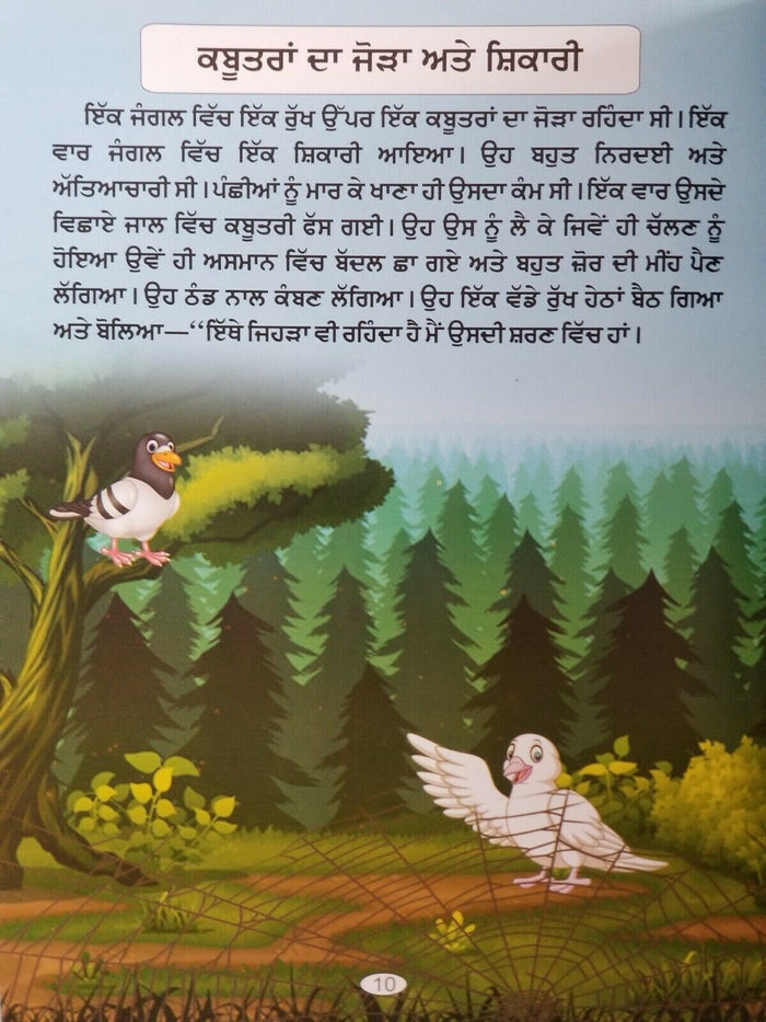 Punjabi reading kids panchtantra stories pair of pigeons & hunter learning book