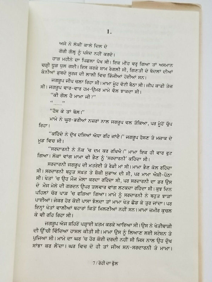Rohi da Phull Punjabi Fiction Novel Book Buta Singh Shaad Panjabi Story New B17