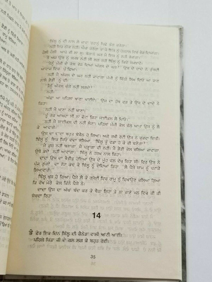 Sabh desh paraya punjabi fiction novel by dalip kaur tiwana panjabi book b5 new