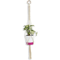 Scooby Plant Hanger
Size: 40" Long 
Material : Cottan 
Colour : Natural White-Indiehaat