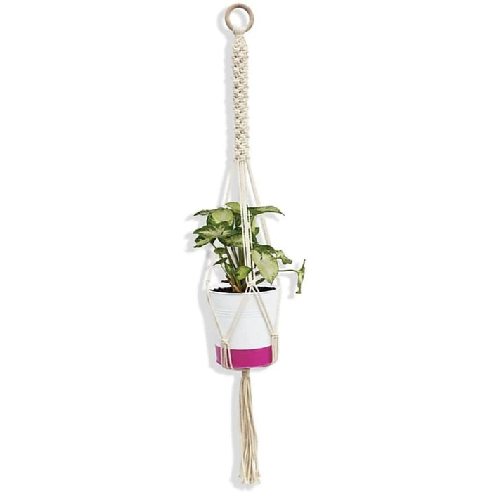 Scooby Plant Hanger
Size: 40" Long 
Material : Cottan 
Colour : Natural White-Indiehaat