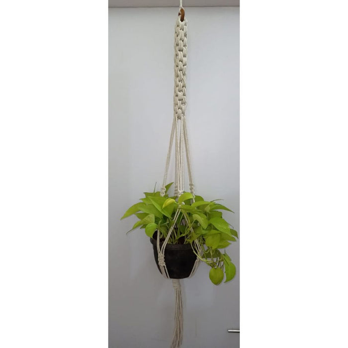 Scooby Plant Hanger
Size: 40" Long 
Material : Cottan 
Colour : Natural White-Indiehaat
