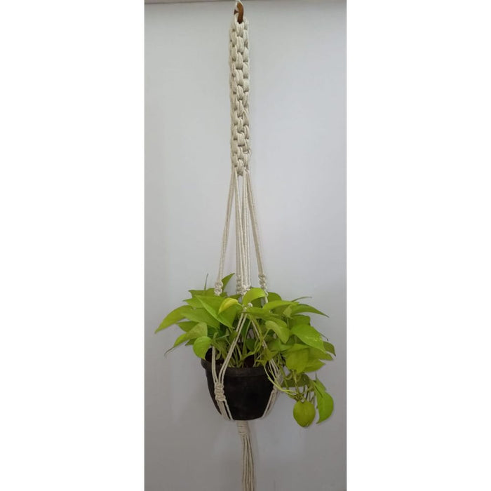 Scooby Plant Hanger
Size: 40" Long 
Material : Cottan 
Colour : Natural White-Indiehaat