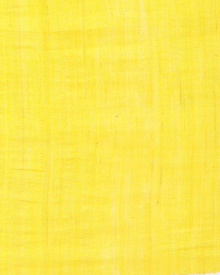 Silkmark Ghicha Tussar Radiating Yellow Saree