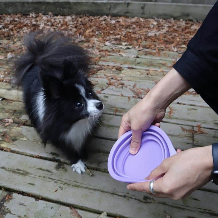 Slow feeder dog bowl silicone pet feeding set