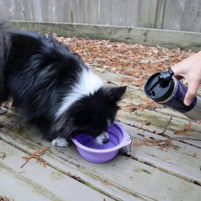 Slow feeder dog bowl silicone pet feeding set
