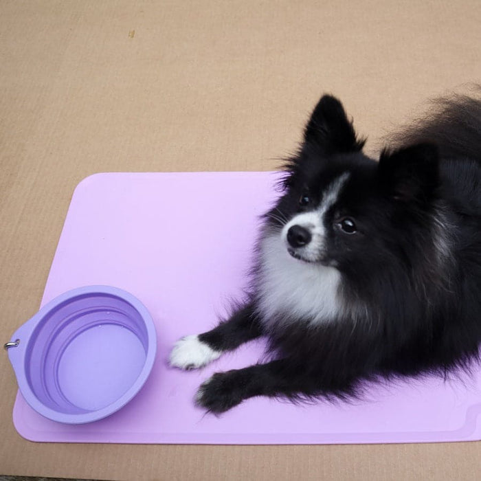 Slow feeder dog bowl silicone pet feeding set