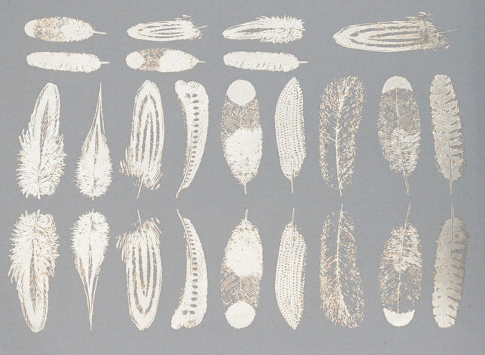 Small Feathers Decal
