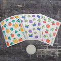 Swedish dishcloth set with dish soap