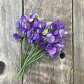 Adorabel Sweet Pea Flowers laying on weathered wood boards