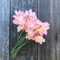 Gilly Norah Sweet Pea Flowers Bouquet - fragrant, pink, peachy