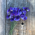 Freshly cut bouquet of Sweet Pea 'Heathcliff' with rich mauve-blue flowers resting on weathered wooden boards.