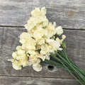 Bouquet of Juliet sweet pea flowers with soft blush and champagne-toned petals, arranged with long stems and highly fragrant blooms.