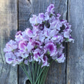 Lady Nicholson Sweet Pea Flowers Bouquet on a wooden background