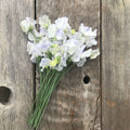 Sweet Pea 'Serendipity' Flowers placed on wooden fence boards