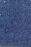 Tom Coleman TC-109 Lipstick Purple