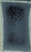 Tom Coleman TC-114 Fake Ash