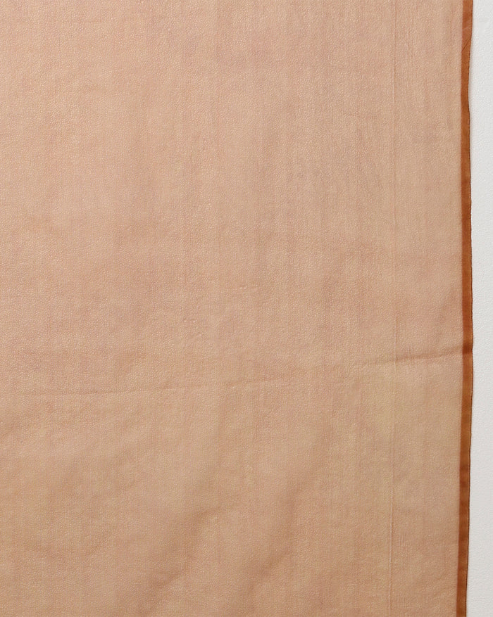 Embroidered Organza Pure Silk Brown Saree for Timeless Appeal | Indiehaat