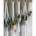 White Macrame Pot Hanger
Set Of 5 Pcs-Indiehaat